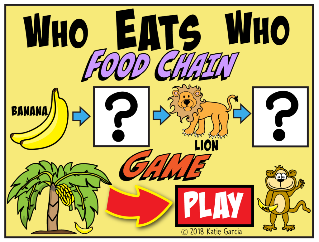 Food Chain Game + Notes