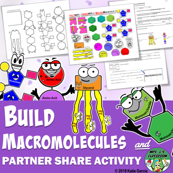 Build MACROmolecules – Mrs Gs Classroom