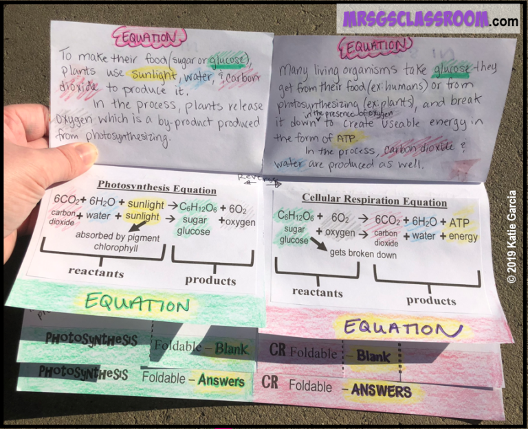 HERE ARE 7 AWESOME FOLDABLES TO LIVEN UP YOUR SCIENCE INTERACTIVE ...