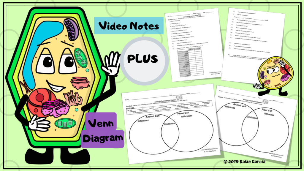 FREE VIDEO, NOTES, & VENN DIAGRAM FOR PLANT & ANIMAL CELLS – Mrs Gs  Classroom