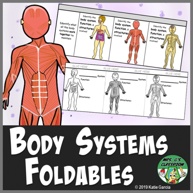 Body Systems Foldable – Mrs Gs Classroom